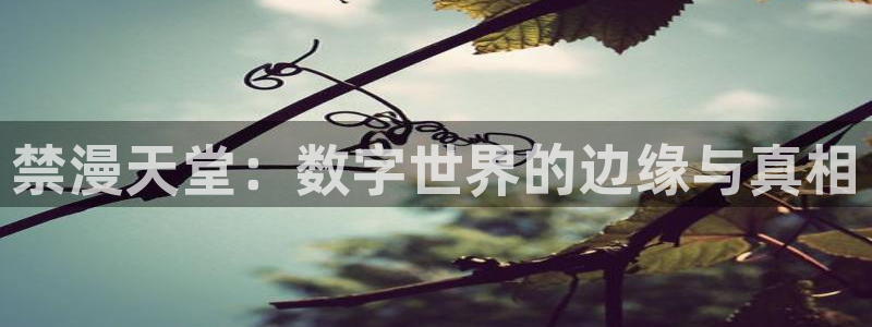 age动漫omofun