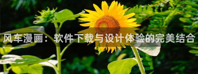 omofun 官网