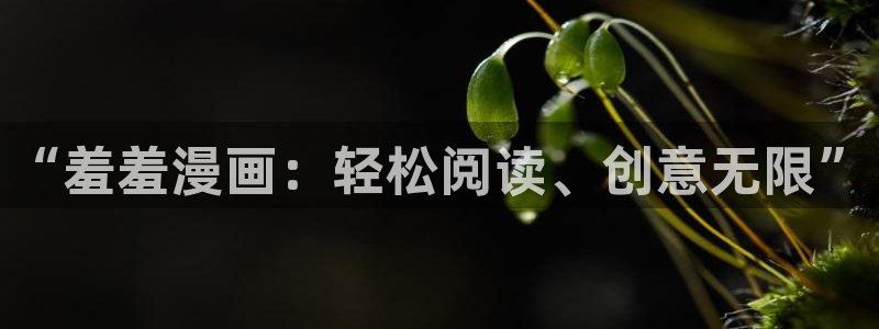 omofun动漫官方app下载