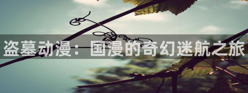 omofun苹果下载ios：盗墓动漫：国漫的奇幻迷航之旅