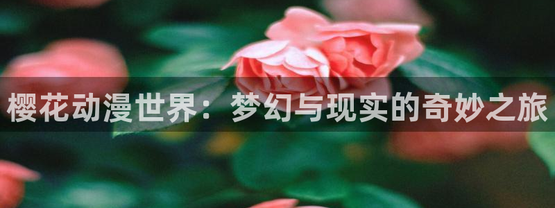.omofun：樱花动漫世界：梦幻与现实的奇妙之旅